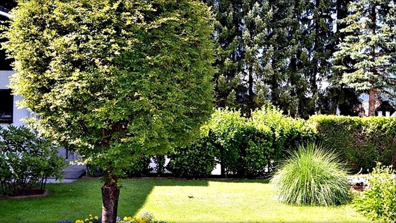 Apartamento Alpinferienwohnung Neuhuber *